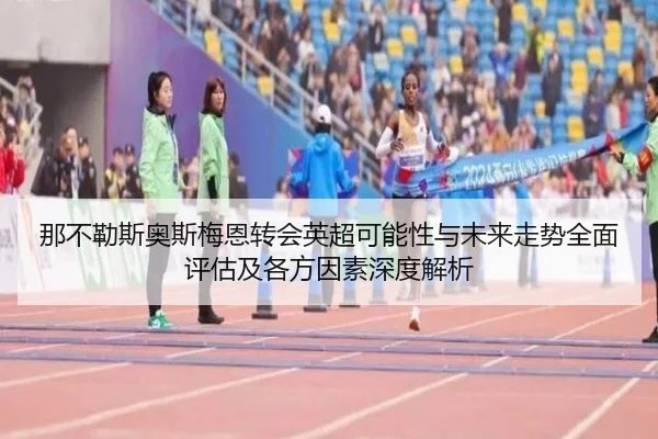 那不勒斯奥斯梅恩转会英超可能性与未来走势全面评估及各方因素深度解析